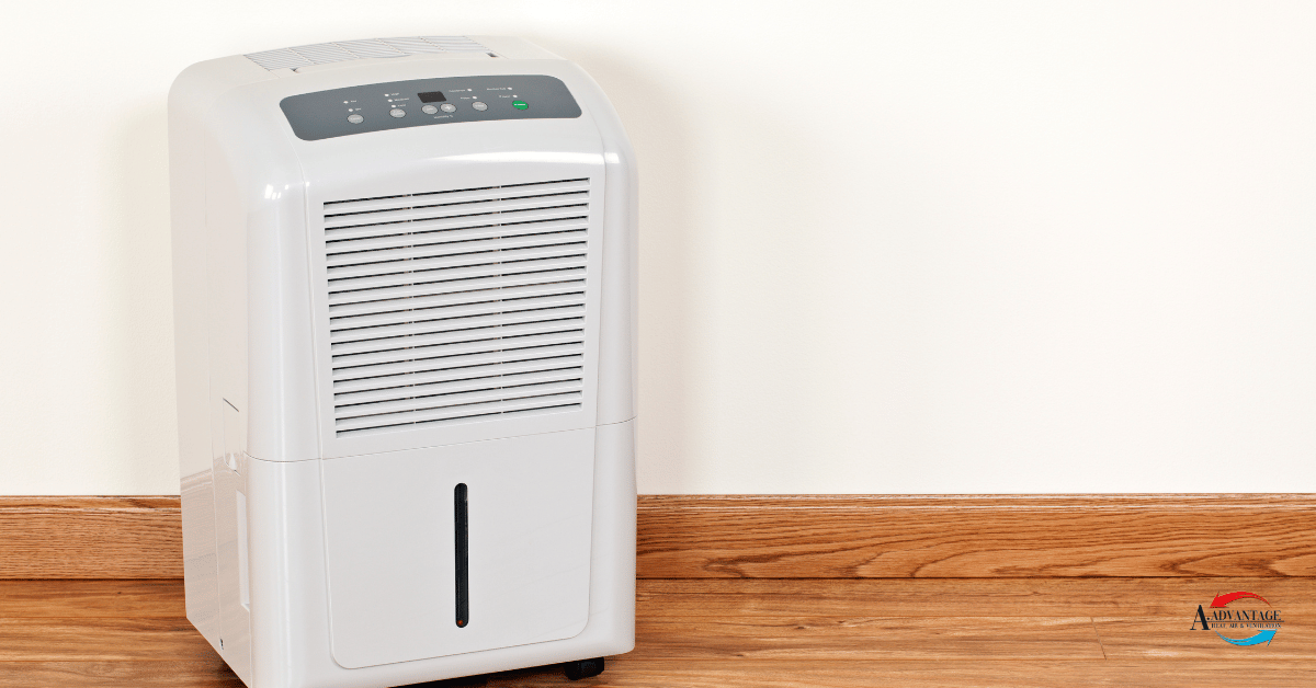 Professional Guidance Matters